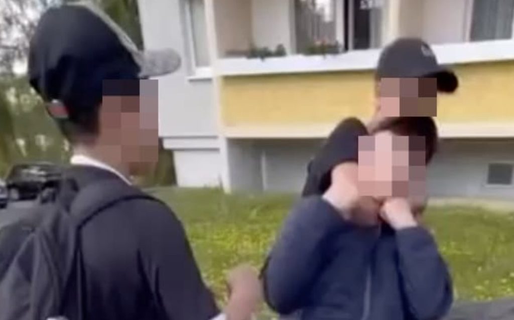 Brutalt angrep filmet: 20 utlendinger banket tysk 14-åring