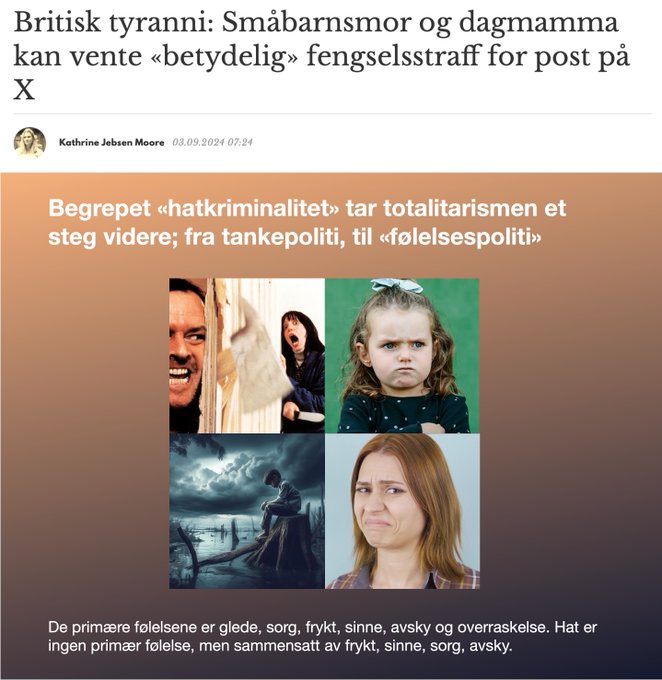 Begrepet "hatkriminalitet" er offentlig invadering av følelsene dine.