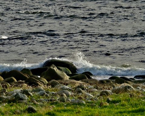 Foto: Under WW2 var dette ein del av forsvarsverket mot invasjon frå havet. Store steinar skulle hindra tanks i å gå i land.