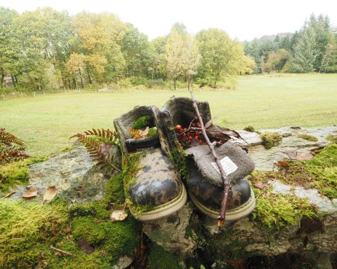 Foto: Ingen ting varer evig. Før eller sidan kjem naturen og ryddar opp etter oss. (Motivet er ikkje arrangert. Det låg og venta på meg.)