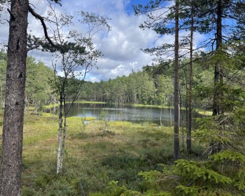 Klimarealistenes høringssvar til høringsnotat