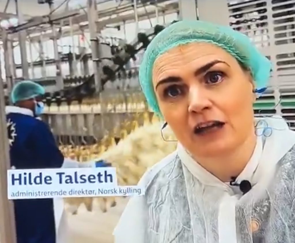 Norsk Kylling starter halal-godkjent produksjon