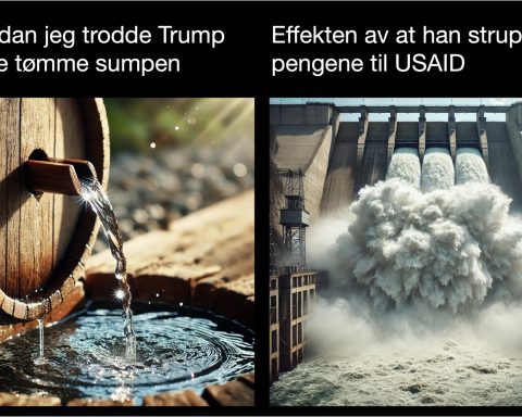 Hva har den falske sultkatastrofen i Noger eller USAID med sumpen å gjøre?