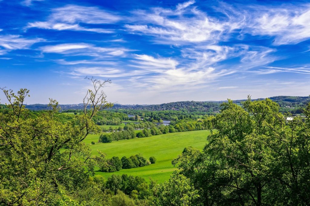 Dette bør snarest gro helt igjen. Ellers kommer klimakrisen og tar oss. Tror jeg tralala.. (Pixabay)