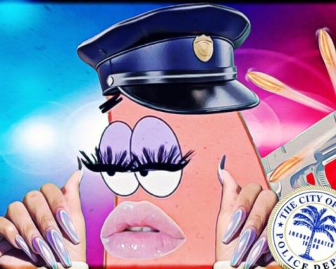 DEI i politiet