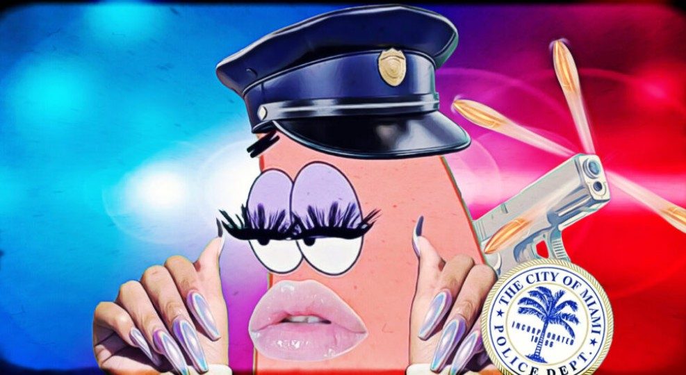 DEI i politiet